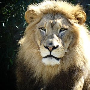 Oct. 2015 - Africa - John