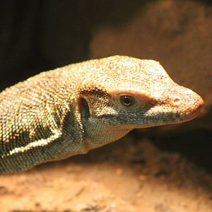 Mertens water monitor