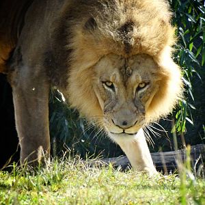 Oct. 2015 - Africa - John