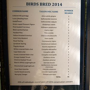 Birds bred 2014 (signage) : Waddesdon : 03 Oct 2015