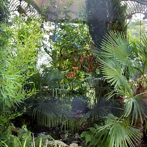 Waddesdon Manor Aviary : Waddesdon : 03 Oct 2015