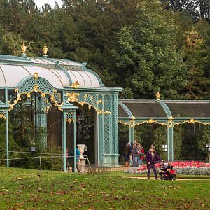 Waddesdon Manor Aviary : Waddesdon : 11 Oct 2015