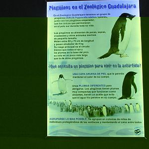 sign guadalajara zoo