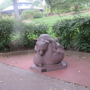 National Zoo - Tumbling Bears