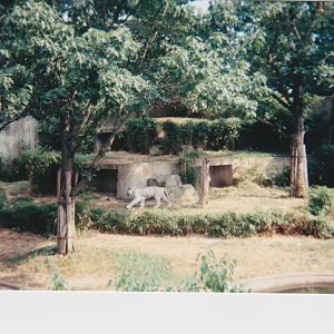 old pictures of the National zoo