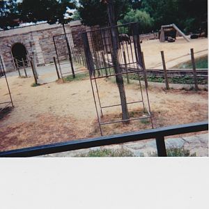 old pictures of the National zoo