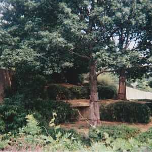 Old pictures of the National zoo