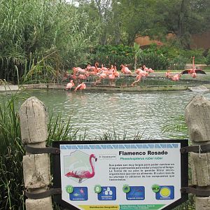 sign guadalajara zoo