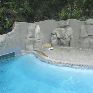 polar bear exhibit guadalajara zoo