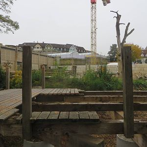 Former elephant enclosure