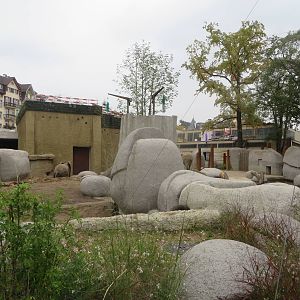 New elephant bull enclosure