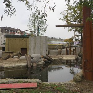 New elephant bull enclosure