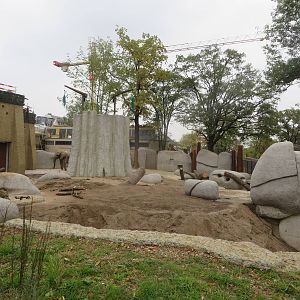 New elephant bull enclosure
