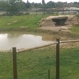 Nissan in new encosure - 18th Oct 2015