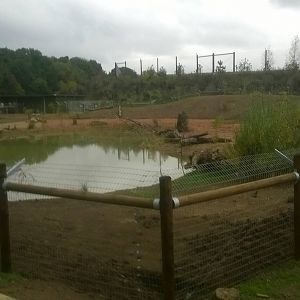 Otter Enclosure - 18th Oct 2015