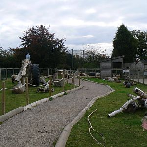 View Of Goat And Sheep Walkthrough- 17 October 2015