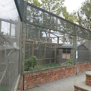 Aviary In Pets At Twycross- 17 October 2015