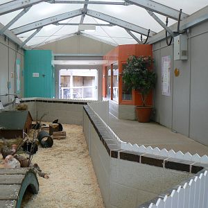 View In Pets At Twycross- 17 October 2015