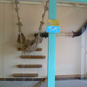 Ferret Enclosure- 17 October 2015