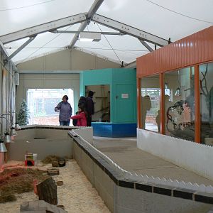 View In Pets At Twycross- 17 October 2015