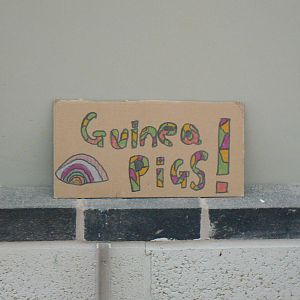 Very Expensive Sign- 17 October 2015