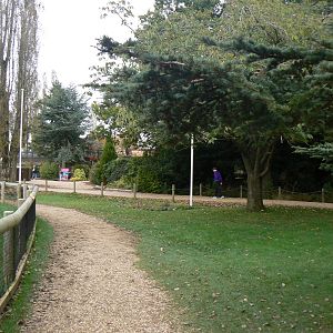 View- 17 October 2015