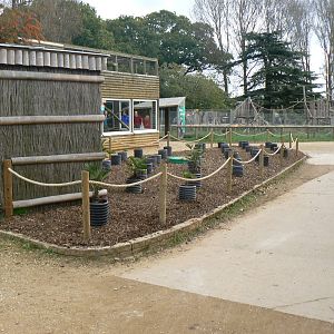 View- 17 October 2015