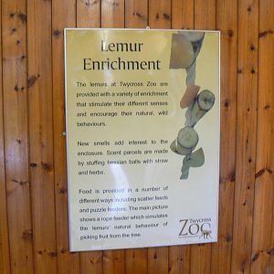 Sign In Lemur house- 17 October 2015
