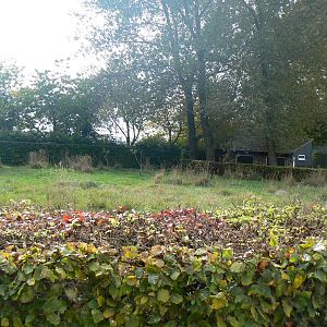 View Of Darwin's Rhea Enclosure- 17 October 2015