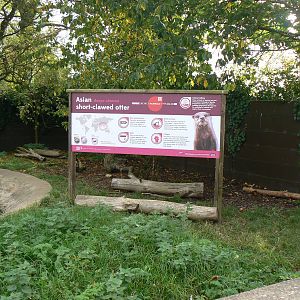 View Of The Asian Short-clawed Otter Enclosure- 17 October 2015
