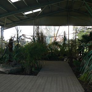 View In The Lorikeet Enclosure- 17 October 2015