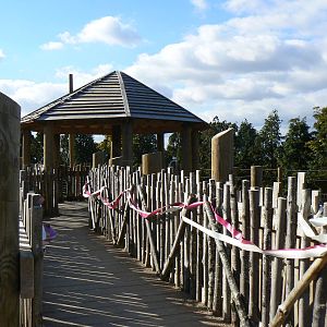 View Of Giraffe Viewing Platform- 17 October 2015