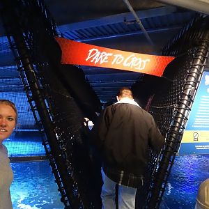 Oct. 2015 - Shark Bridge Entrance