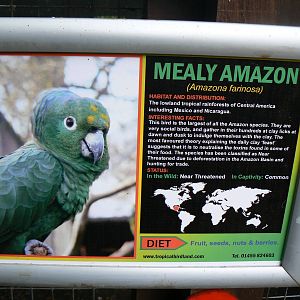 Example Of Signage- 18 October 2015