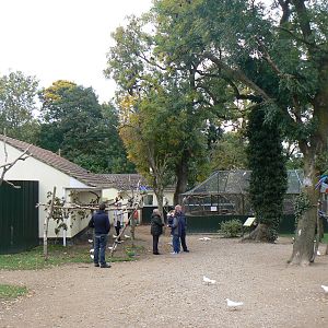 View- 18 October 2015