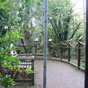 View Of The Walkthrough Aviary- 8 October 2015