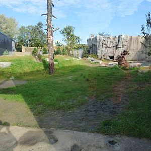 Side View of Polar Bear Exhibit #1