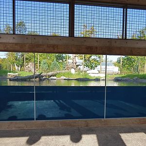 Polar Bear Exhibit #2