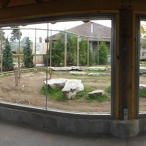 Gray Wolf Exhibit