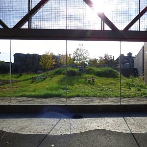Polar Bear Exhibit #2