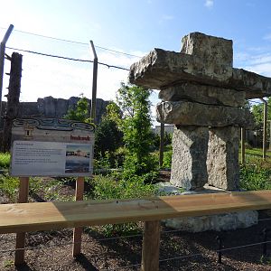 In front of Polar Bear Exhibit #2