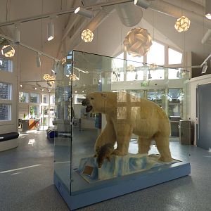 Arctic Edge - Interpretive Center