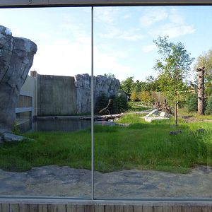 Arctic Edge - Side View of Polar Bear Exhibit #2