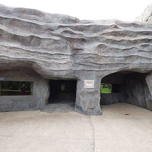 Arctic Edge - Polar Bear Dens