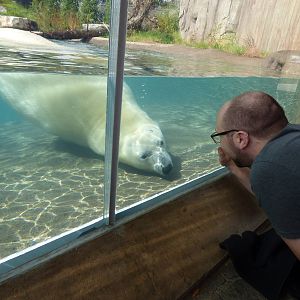 Arctic Edge - Luna Slinks Towards My Husband