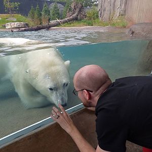 Arctic Edge - Luna & Me