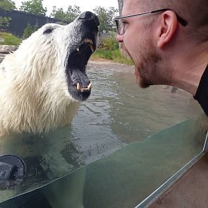 Arctic Edge - Luna & Me