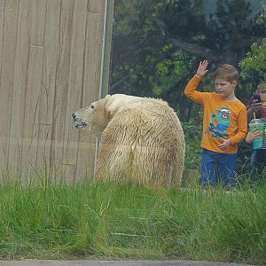 Arctic Edge: Anana Ignoring Her Fans