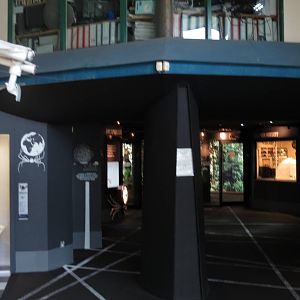 in with the spiders entrance