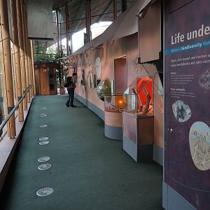 exhibits in BUGS part